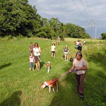 BHS-Dog-Walk-1