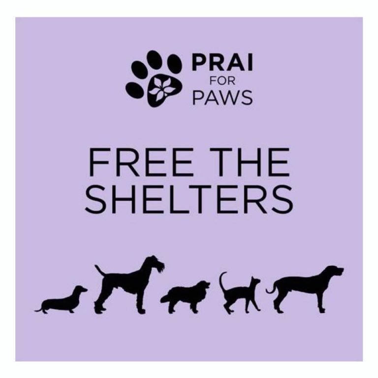 Prai-for-Paws-Free-the-Shelters